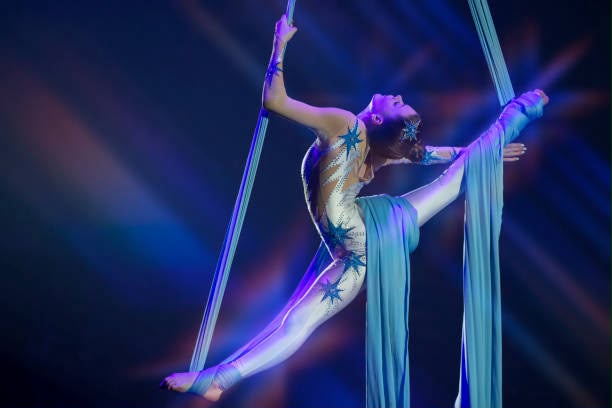 Aerial Arts and Pole Dance