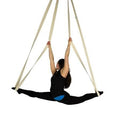 Professional 2m Aerial Straps | High-Strength Performance Loops