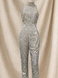 Sparkly Silver Aerial Silk Jumpsuit – Rhinestone Gymnastics Unitard, High Neck Contortion Leotard,