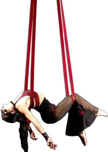 Professional 2m Aerial Straps | High-Strength Performance Loops