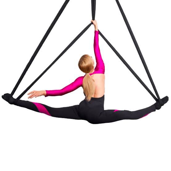 Professional 2m Aerial Straps | High-Strength Performance Loops