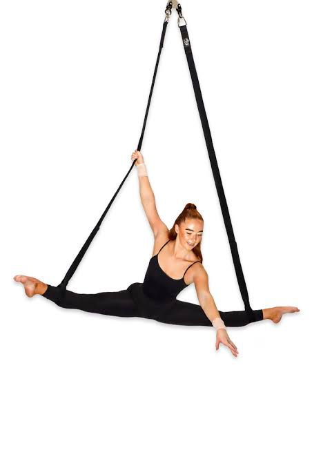 Professional 2m Aerial Straps | High-Strength Performance Loops